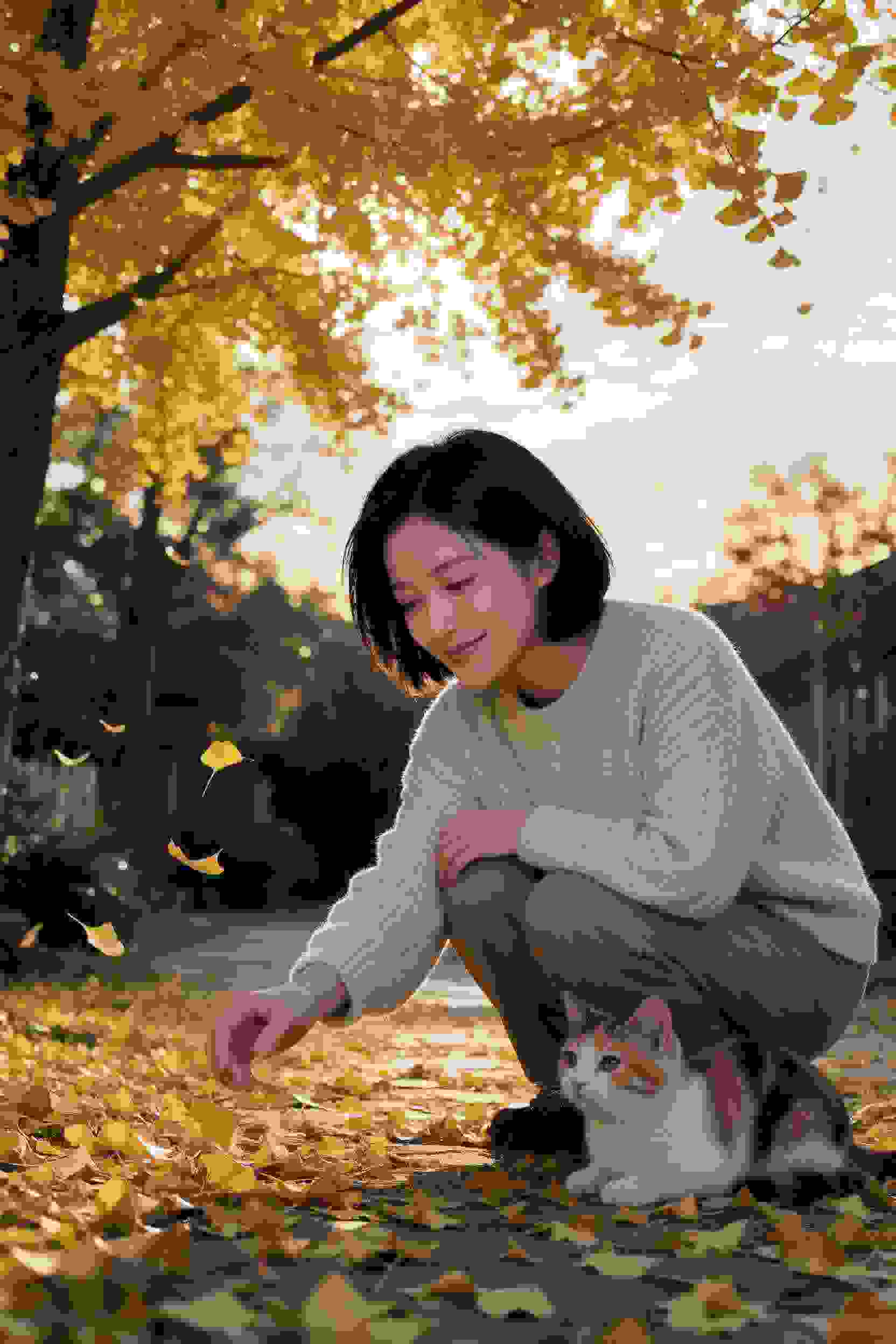 记忆碎片